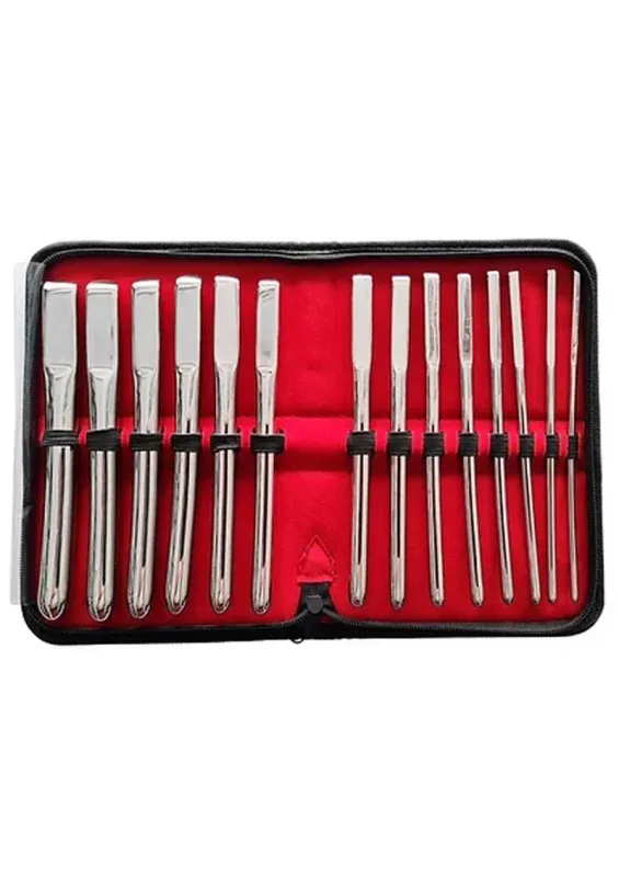 DISC- Rouge Hegar Stainless Steel Uterine Dilator Set (14 Piece Set) - Silver