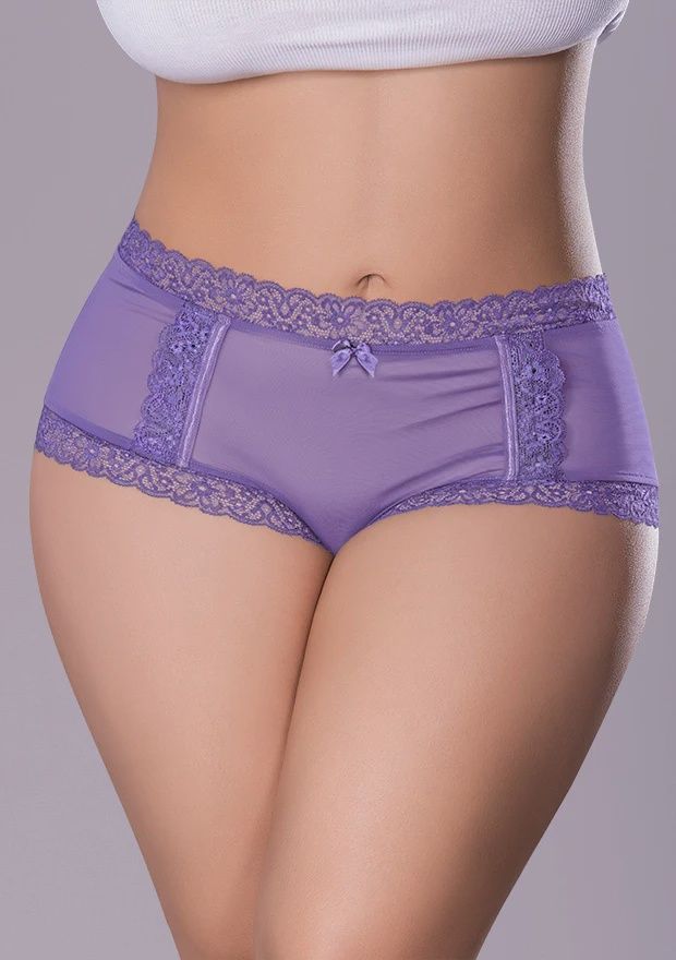 Sheer Passion Cheeky Hipster Boy Short, Color: purple, Size: 1-x-3-x