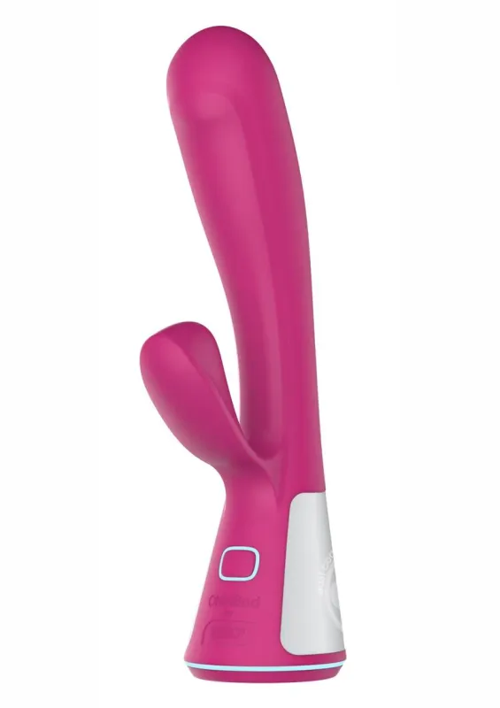 DISC- Kiiroo Ohmibod Fuse Interactive Rabbit Rabbit