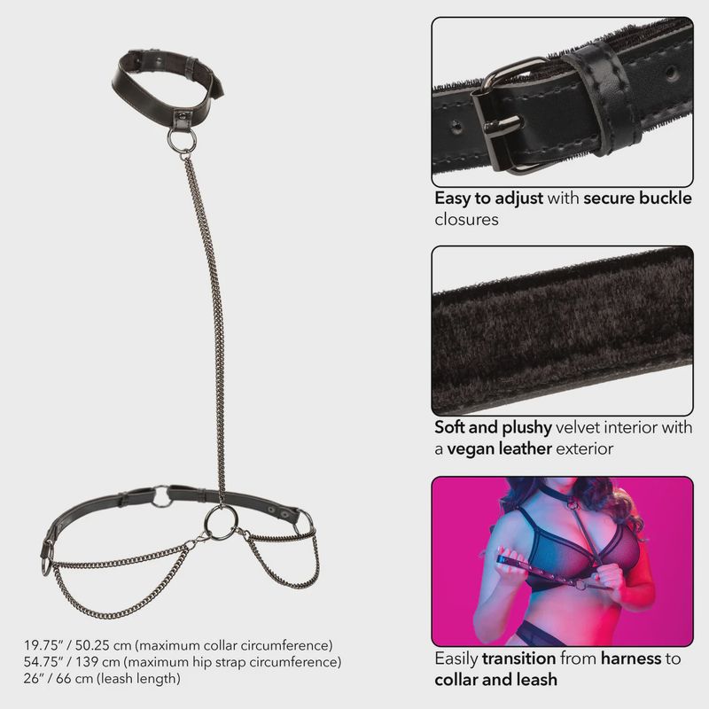 Euphoria Collection Chain Halter/Collar &amp; Leash - Black