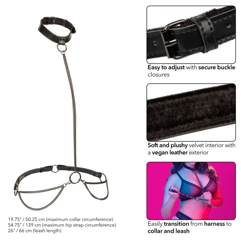 Euphoria Collection Chain Halter/Collar &amp; Leash - Black
