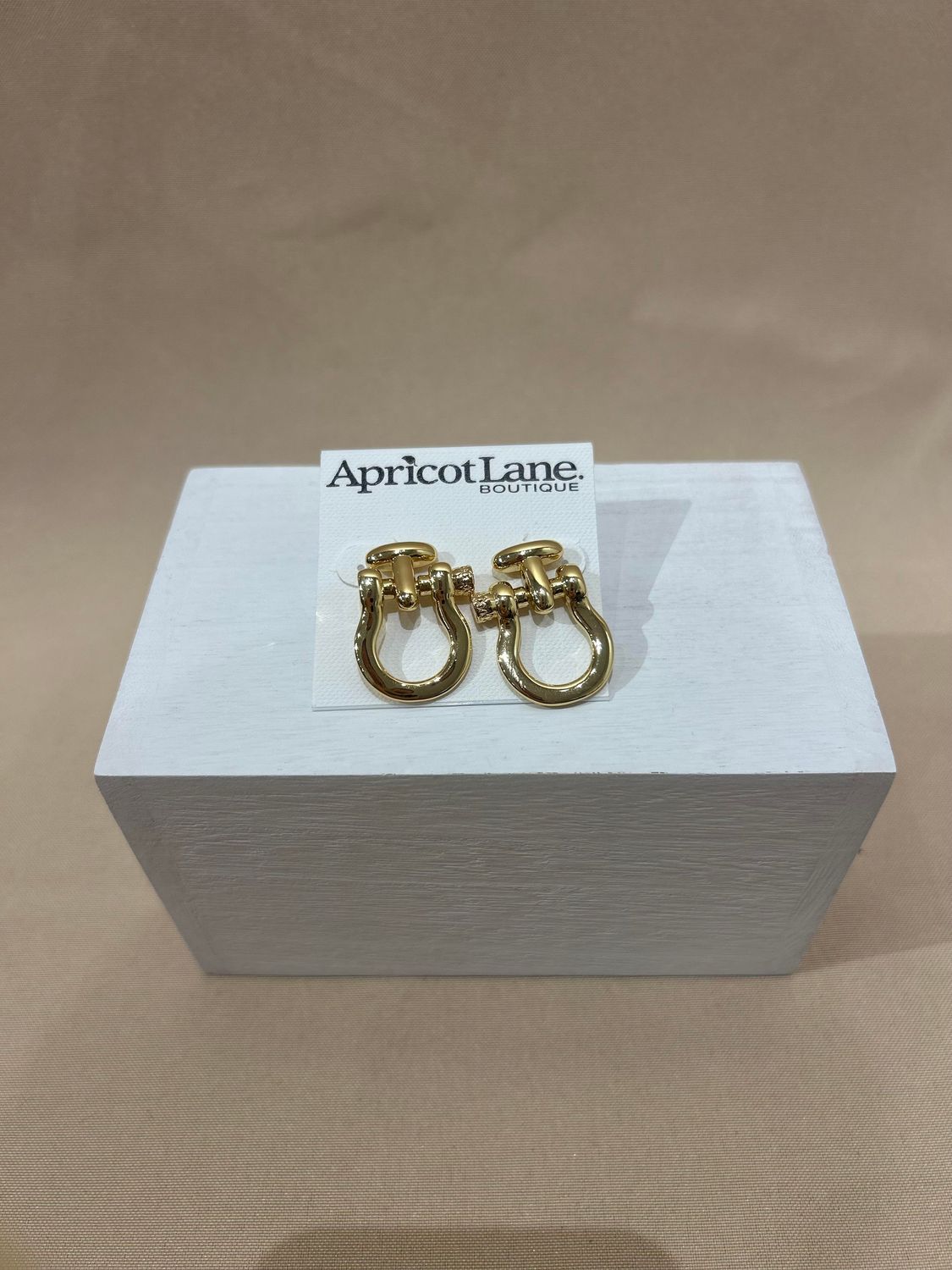 HORSE BIT EARRINGS
