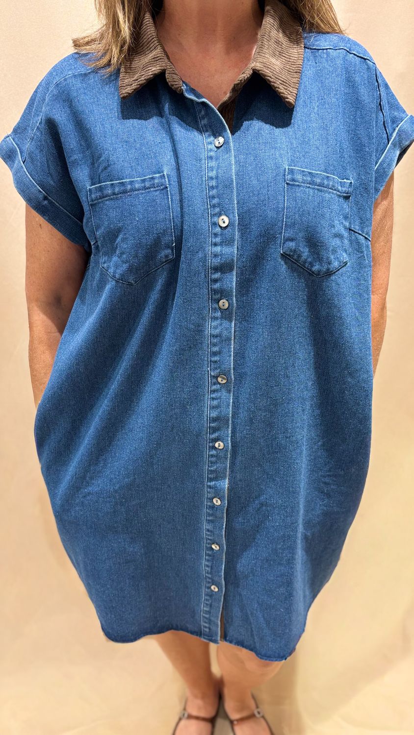 COLLAR BUTTON DOWN DENIM