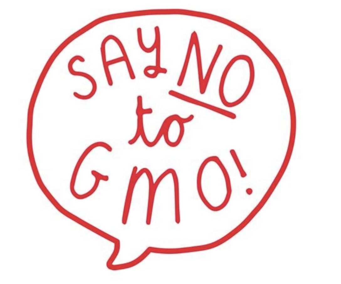 Sticker: BB -  Say No To GMO