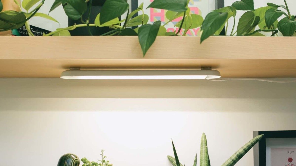 Smart Growbar