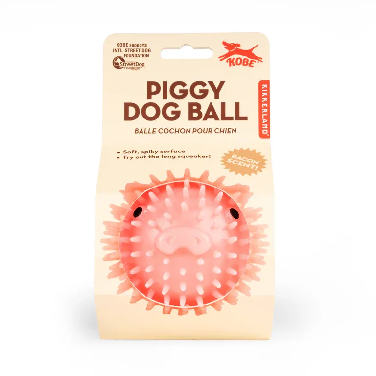 Dog Toy - Piggy Ball