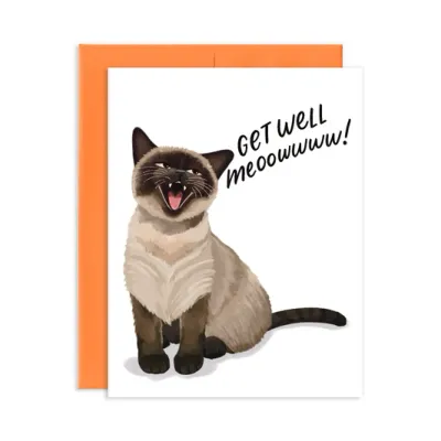 Card - Sympathy: Get Well Meow Cat
