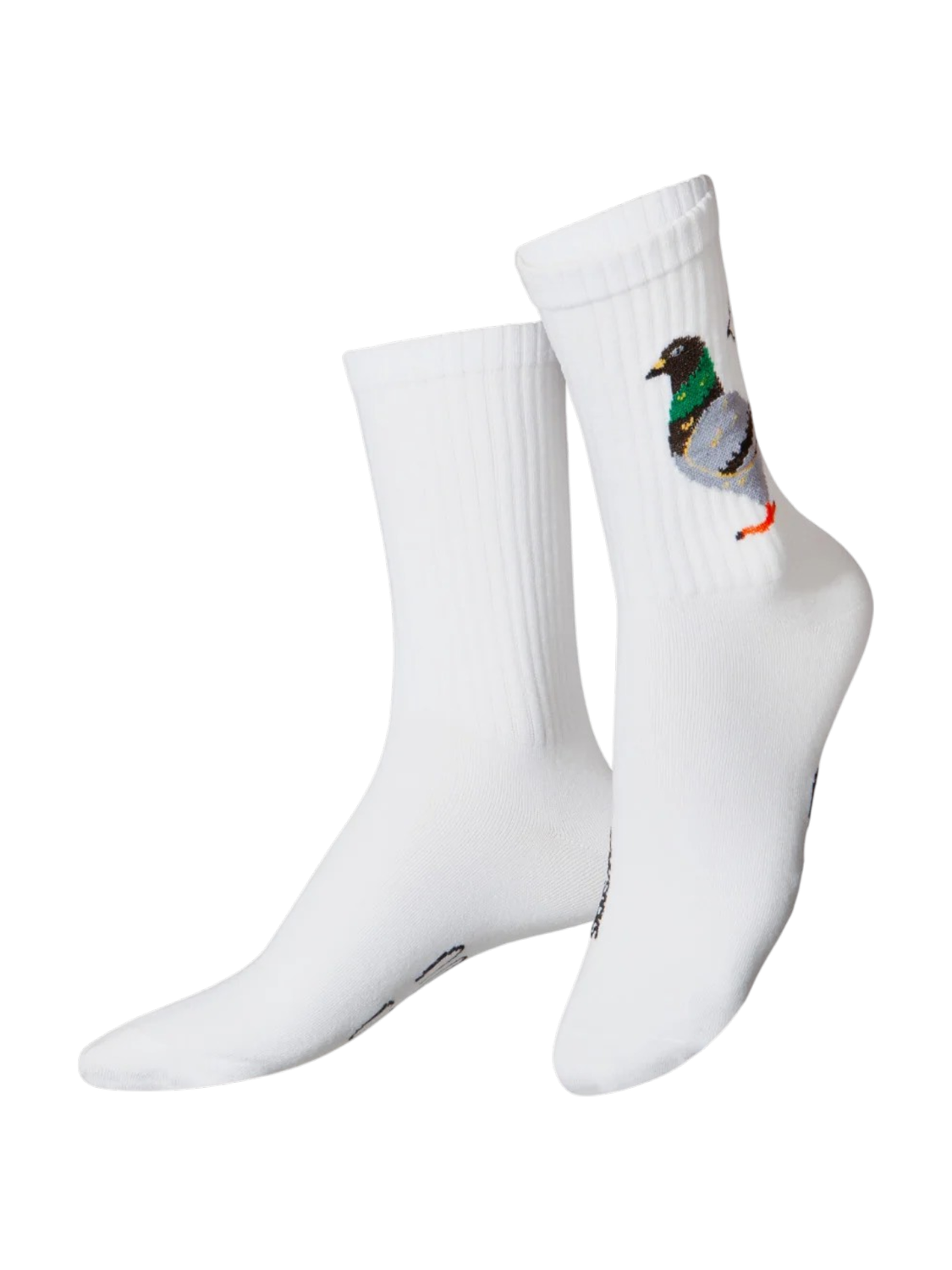 Socks - EMS Pigeon