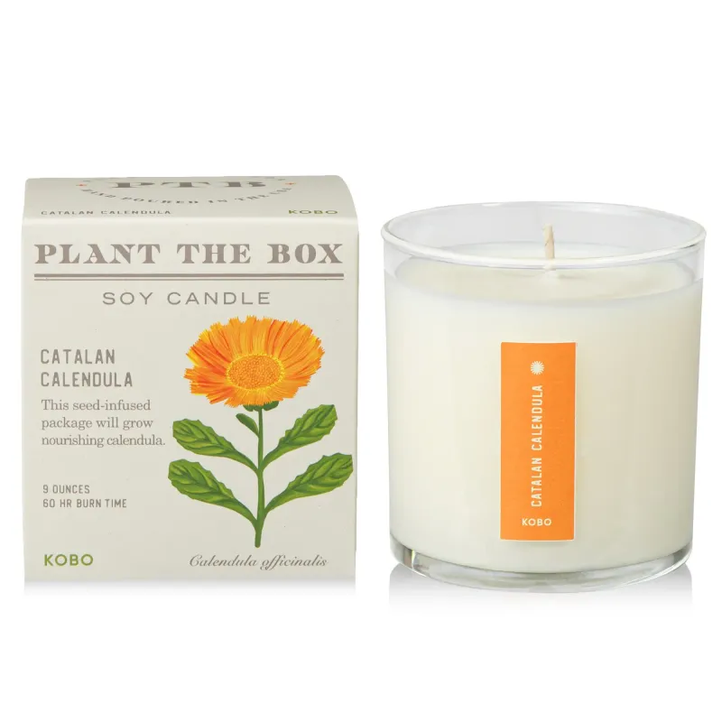 Candle - Kobo Plant The Box 10oz: Catalan Calendula