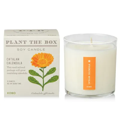 Candle - Kobo Plant The Box 10oz: Catalan Calendula