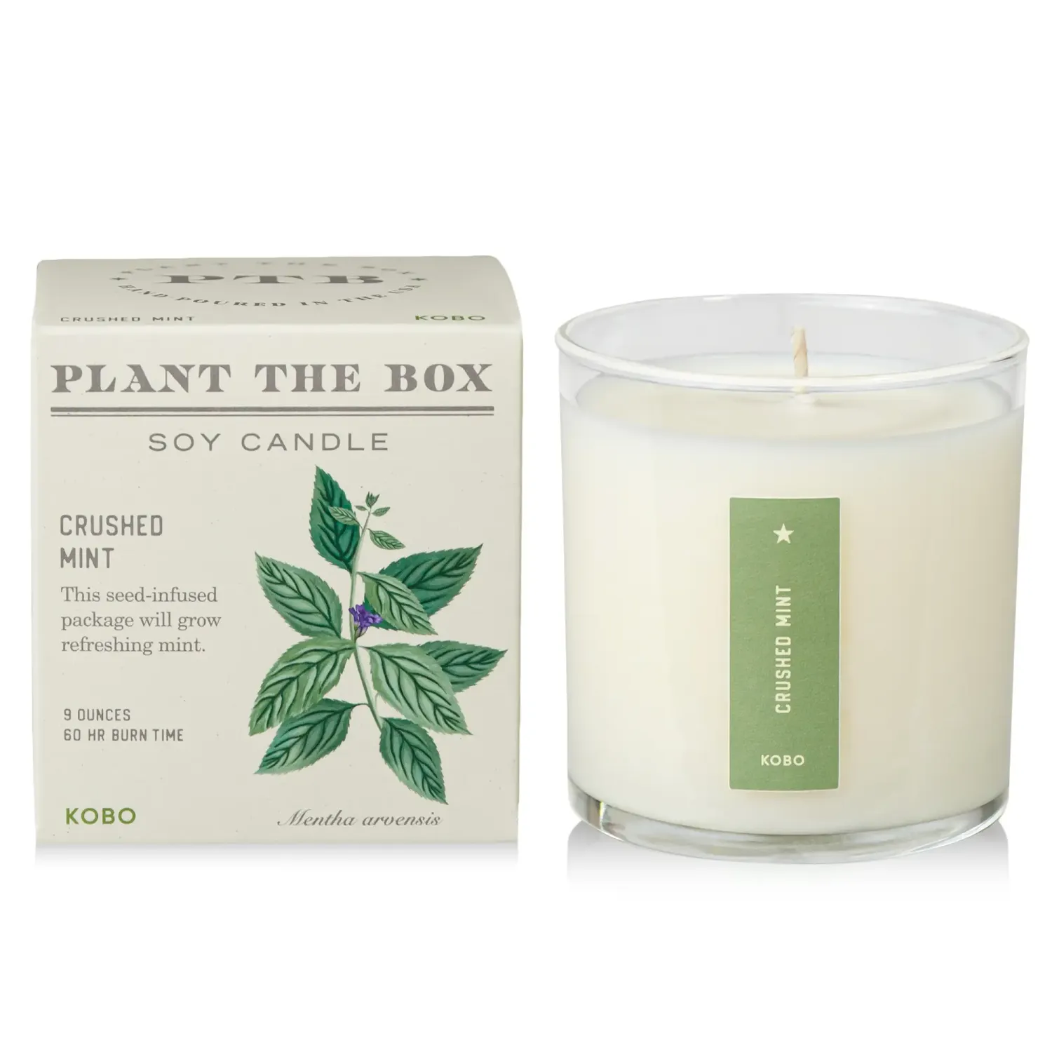 Candle - Kobo Plant The Box 10oz: Crushed Mint