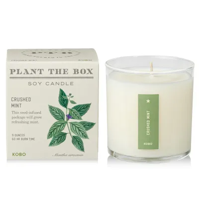 Candle - Kobo Plant The Box 10oz: Crushed Mint