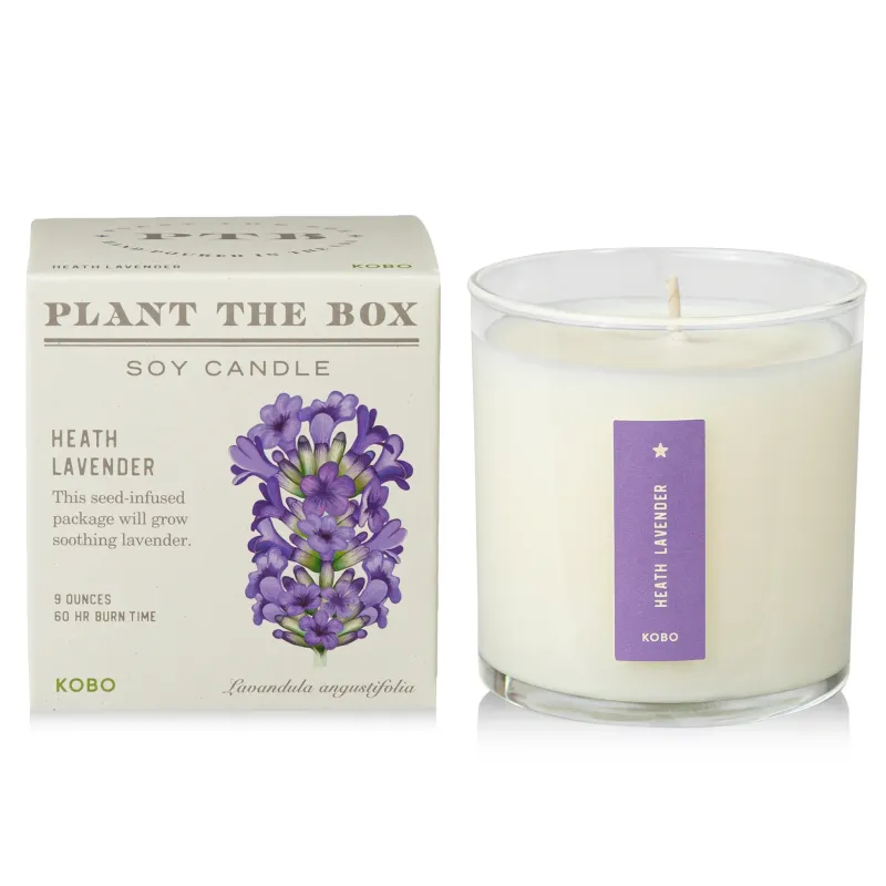 Candle - Kobo Plant The Box 10oz: Heath Lavender
