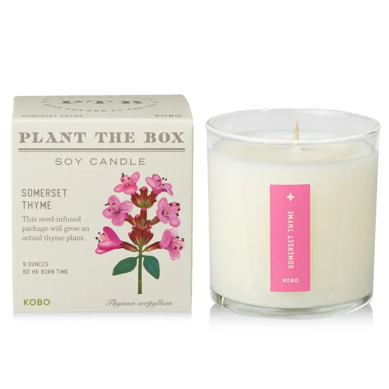 Candle - Kobo Plant The Box 10oz: Somerset Thyme
