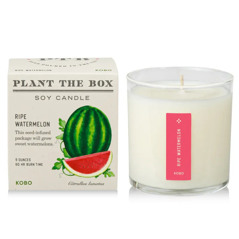 Candle - Kobo Plant The Box 10oz: Ripe Watermelon