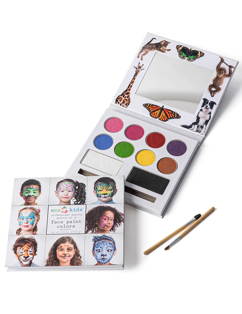 Face Paints - Palette of 10