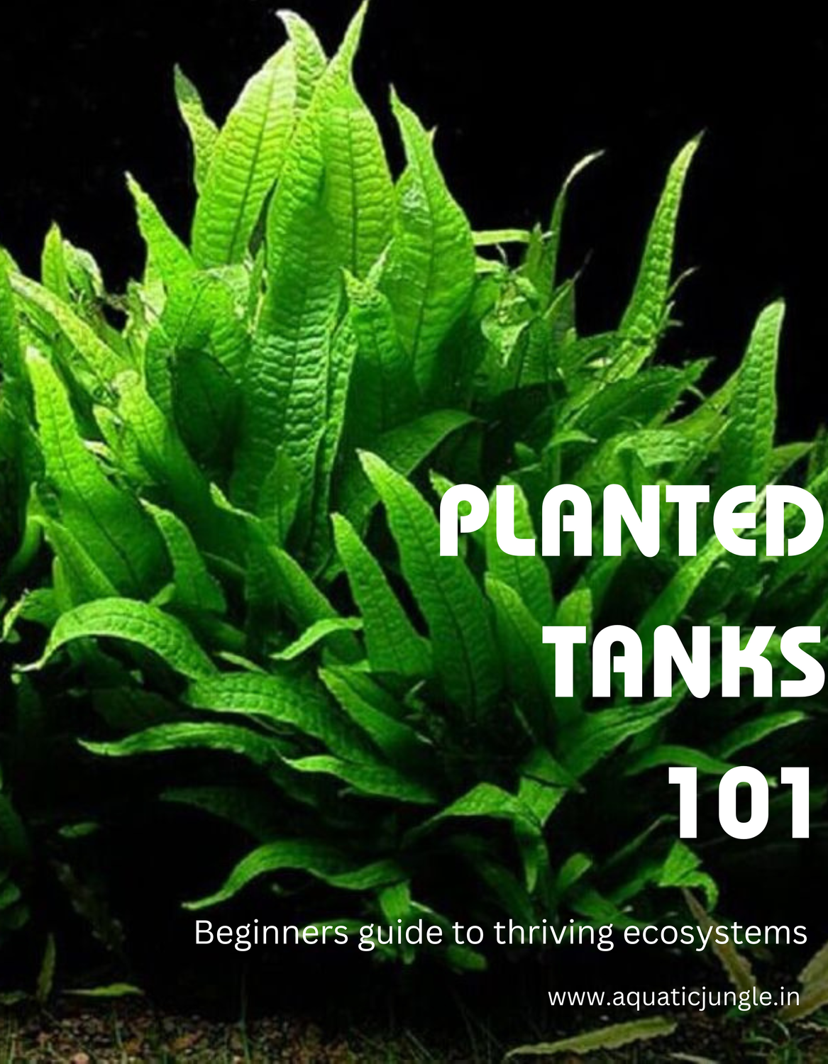 Planted Tanks 101 - PDF Version