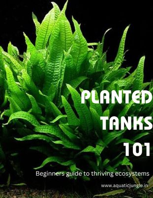 Planted Tanks 101 - PDF Version