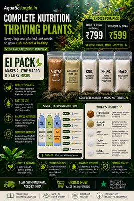 EI Pack