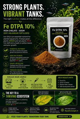 Fe DTPA 10% (60gms) 