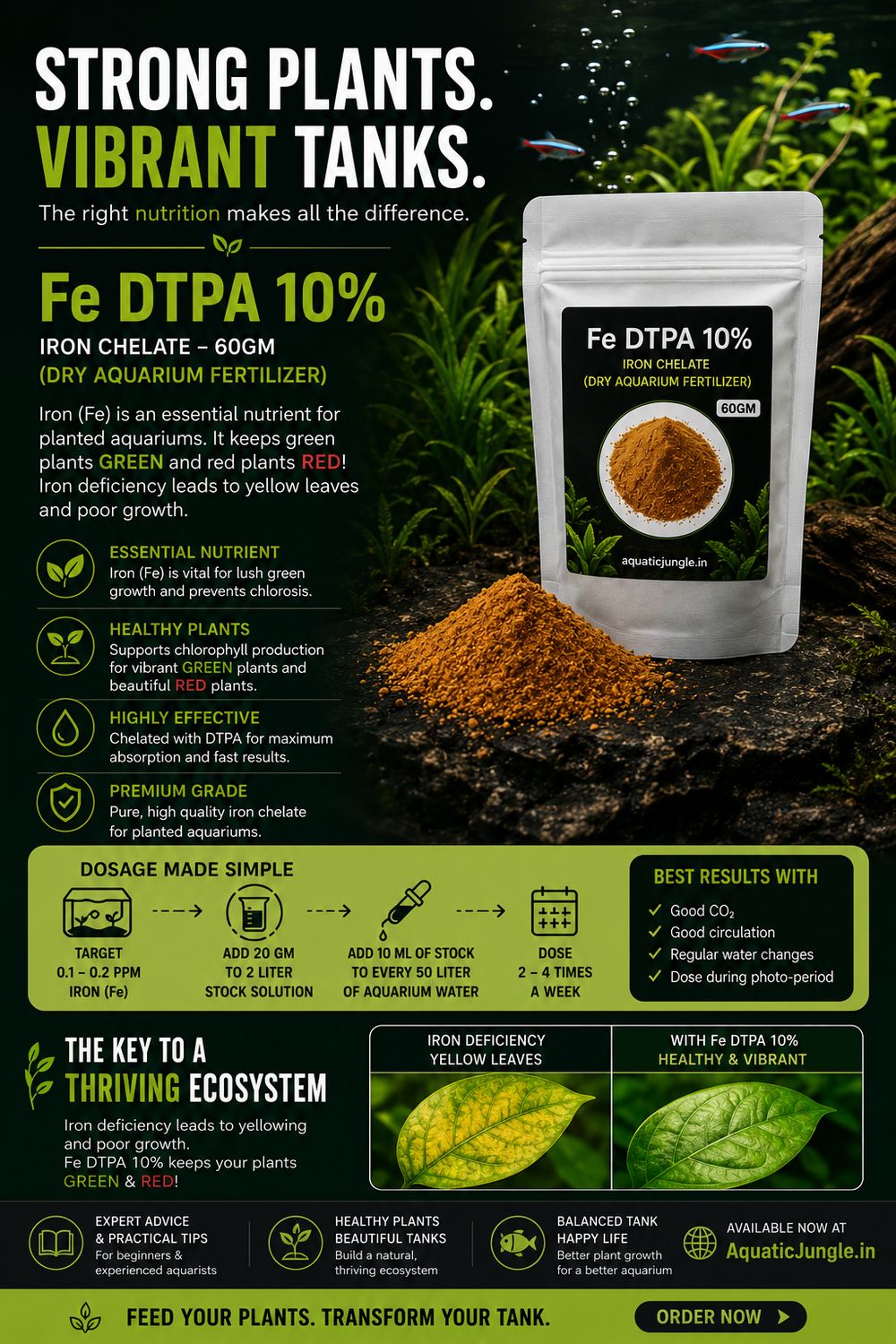 Fe DTPA 10% (60gms) 
