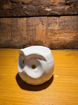 Brûleur pour fondants parfumés Chouette blanc