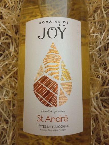 MAGNUM JOY BLANC 2024 COTES DE GASCOGNE