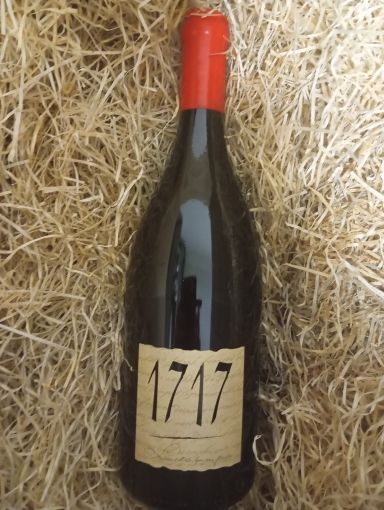 MAGNUM VACQUEYRAS ROUGE 2022 1717 A. ARNOUX