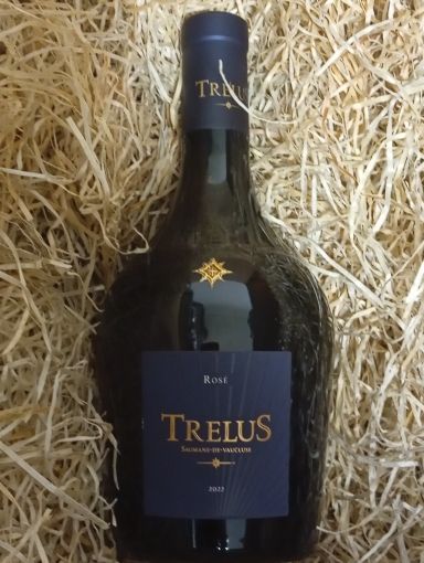 TRELUS ROSE BIO 2022