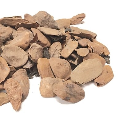 Akuamma (Picralima nitida) seed powder (2oz)