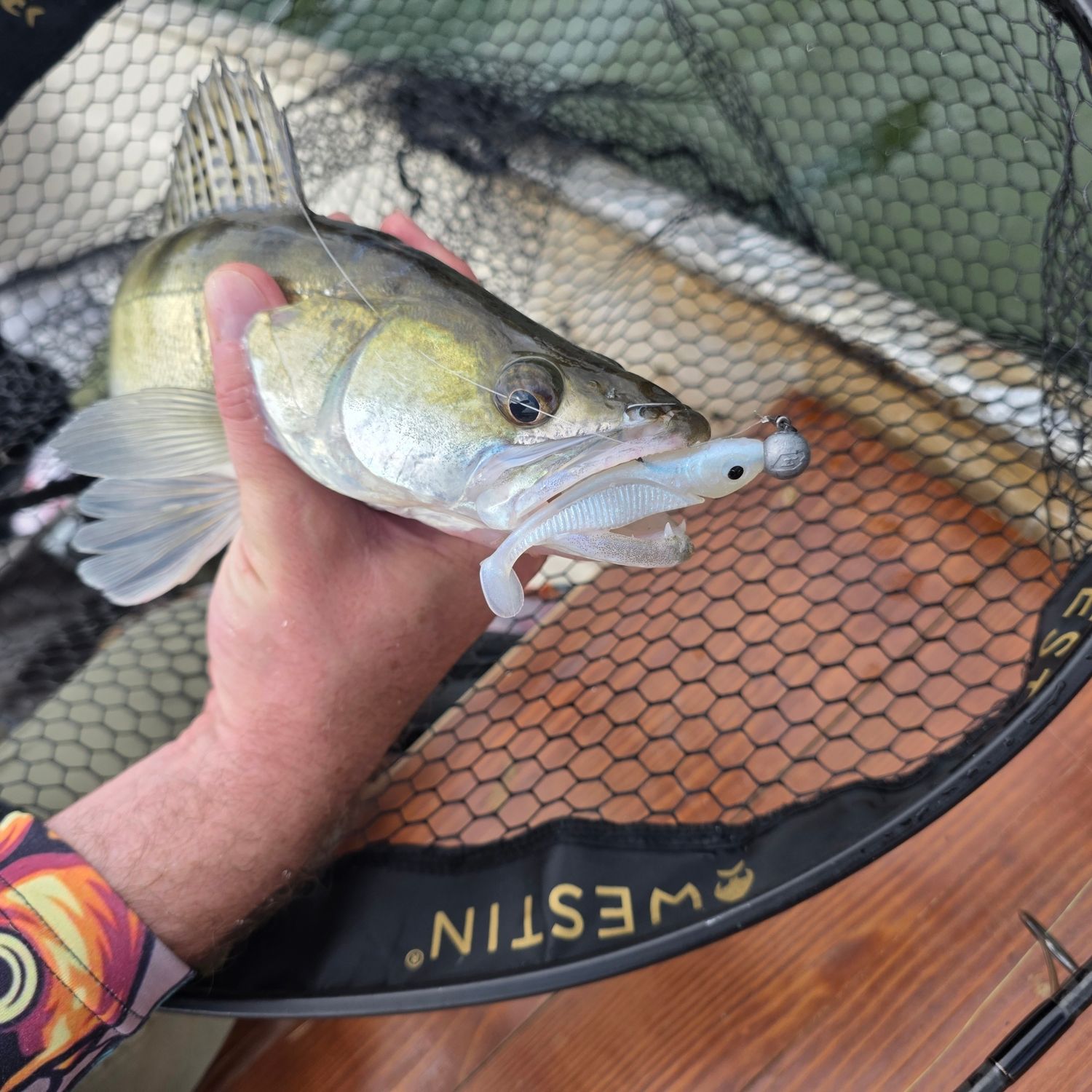 FlashRib 7.7cm - Silvershad