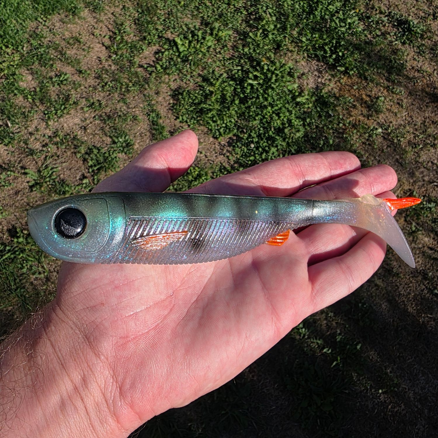 FlashRib 21 - Ghost Perch