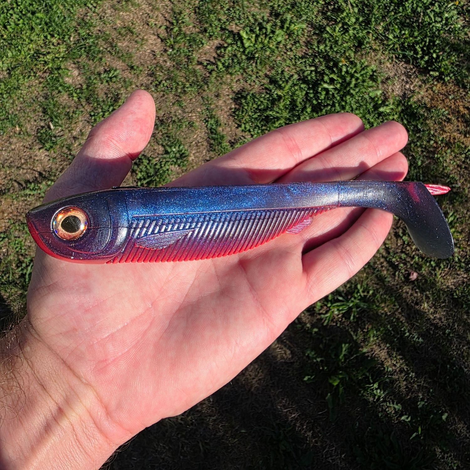 FlashRib 21 - Bluepink