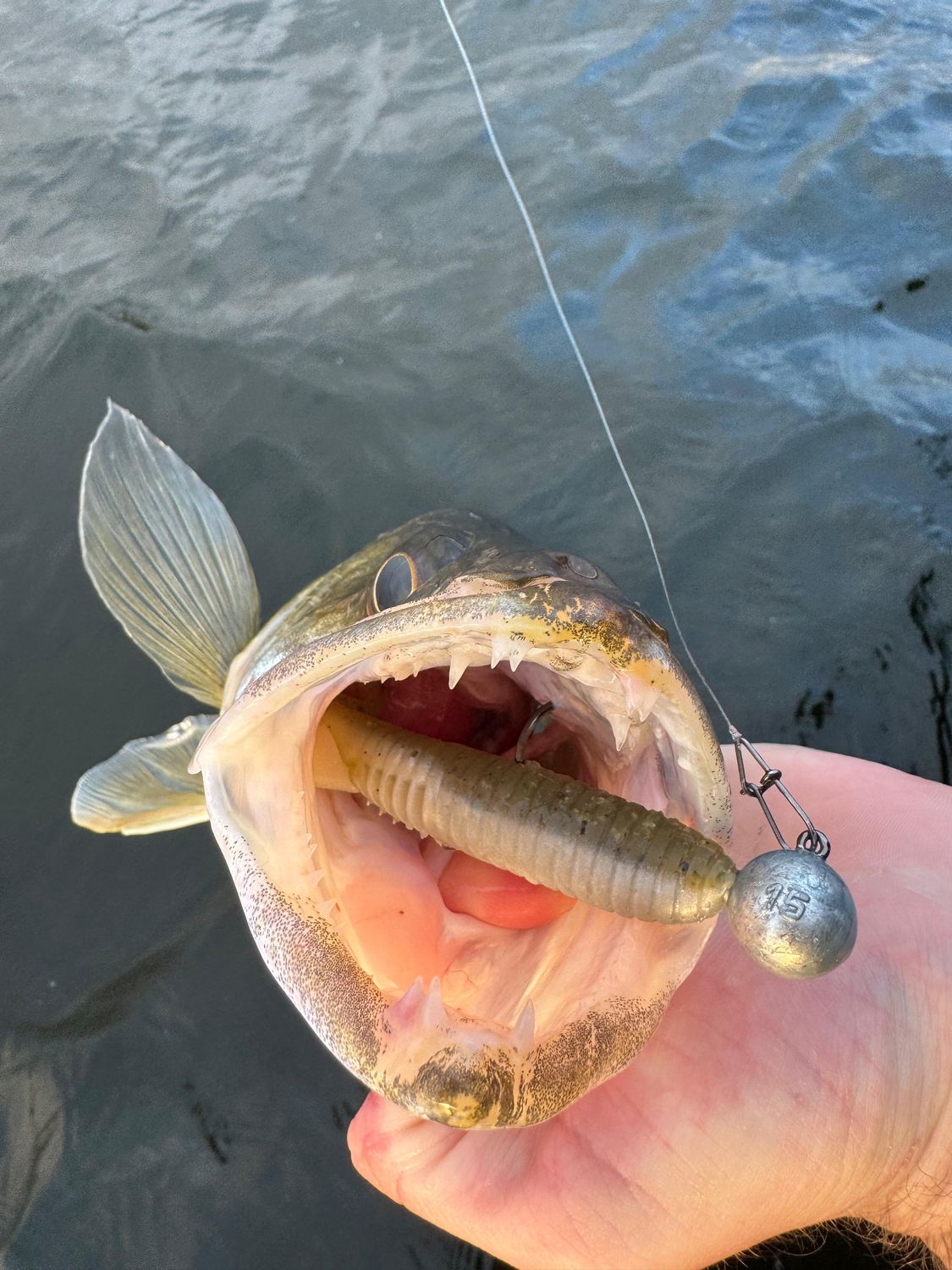 Dropned Shad 13cm - Pumpkin Neon