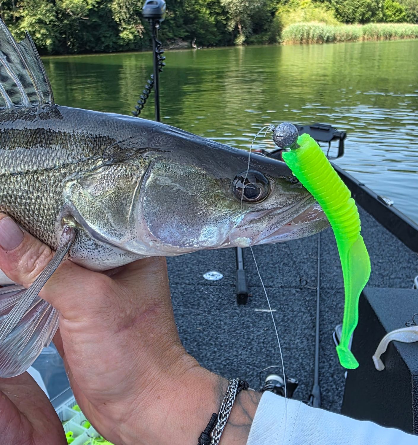 Dropned Shad 13cm - Psycho