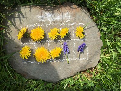Mountain Math Magic