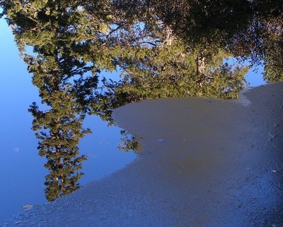 The Geology of Valentine Reserve I