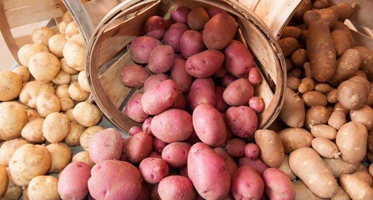 kilo de papas