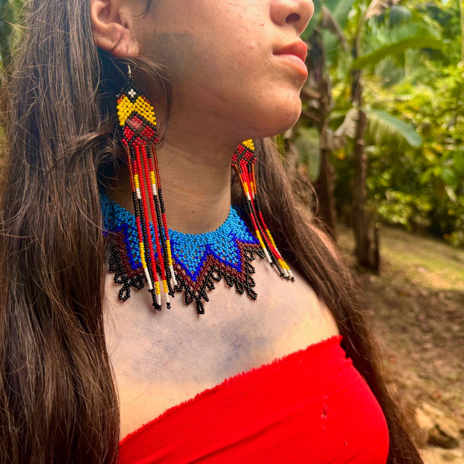 Earrings