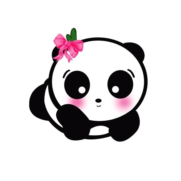 beauty panda
