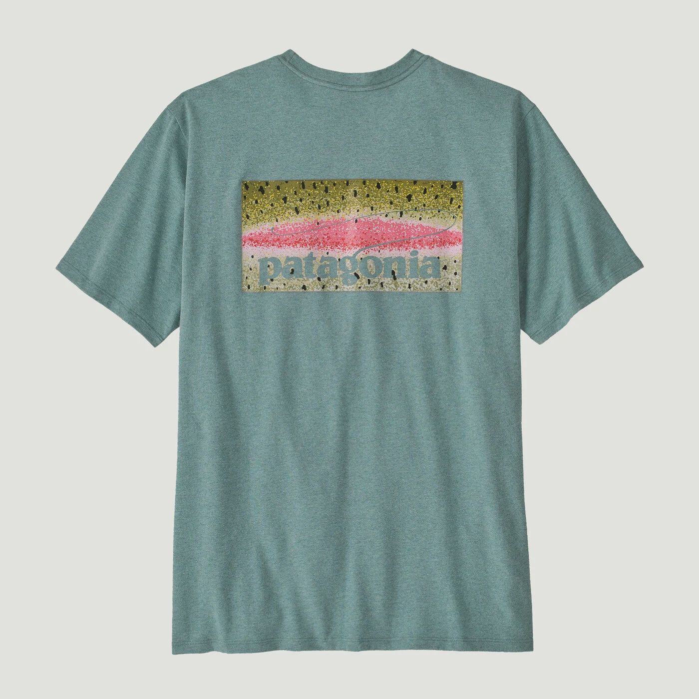 Patagonia Men's Take a Stand Responsibili-Tee, Size: Small