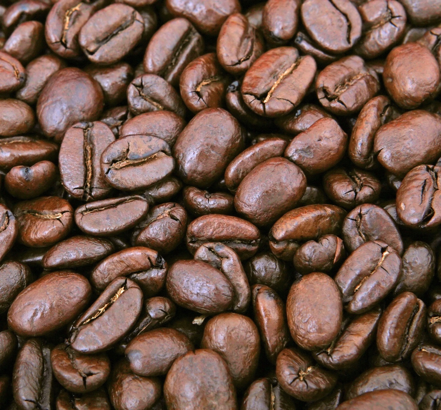 Organic Fair-trade Mexican coffee beans