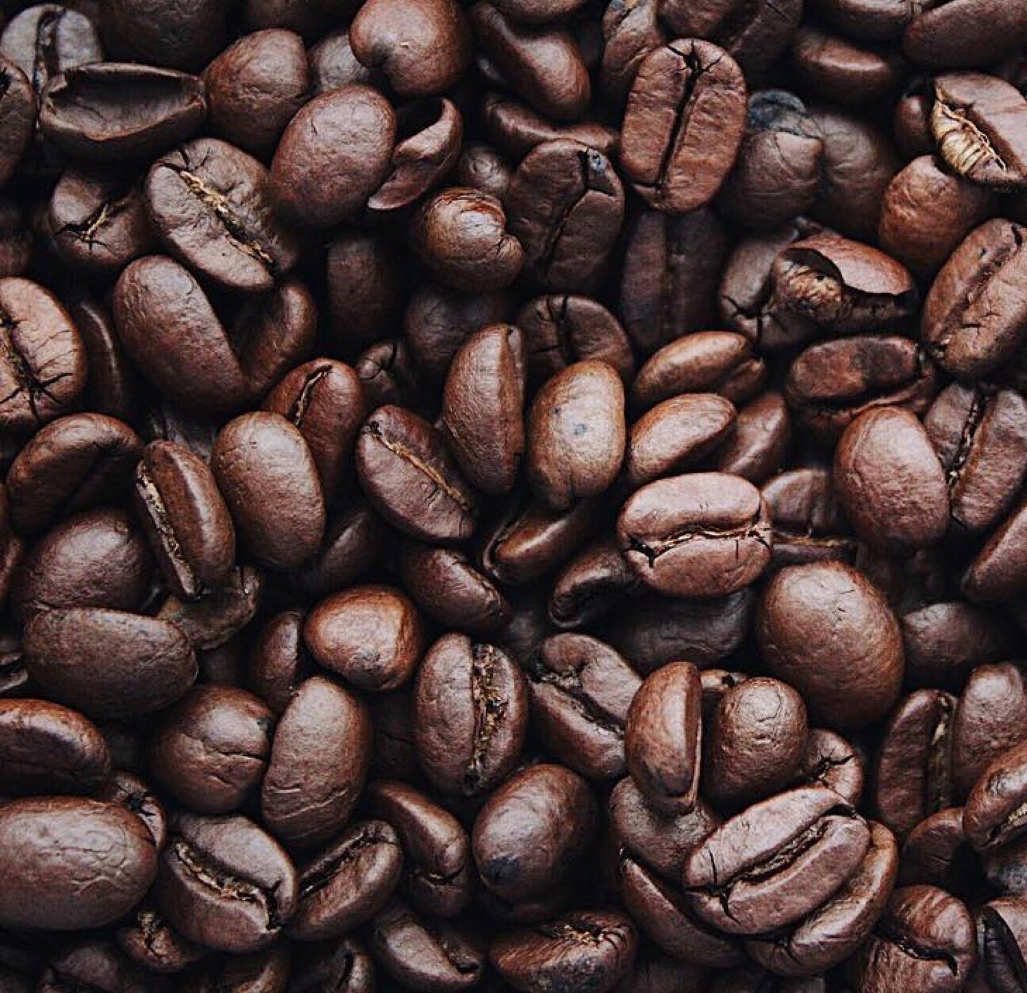 Brazilian Santos coffee beans