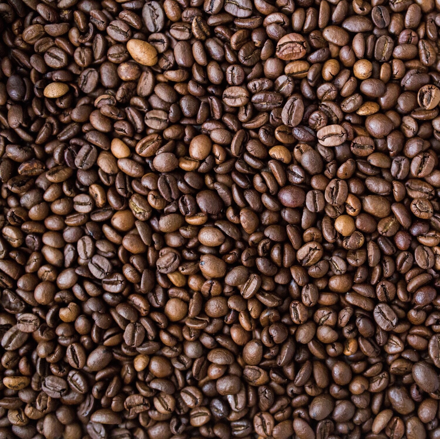 Organic Fair-trade decaffeinated professional roast coffee beans