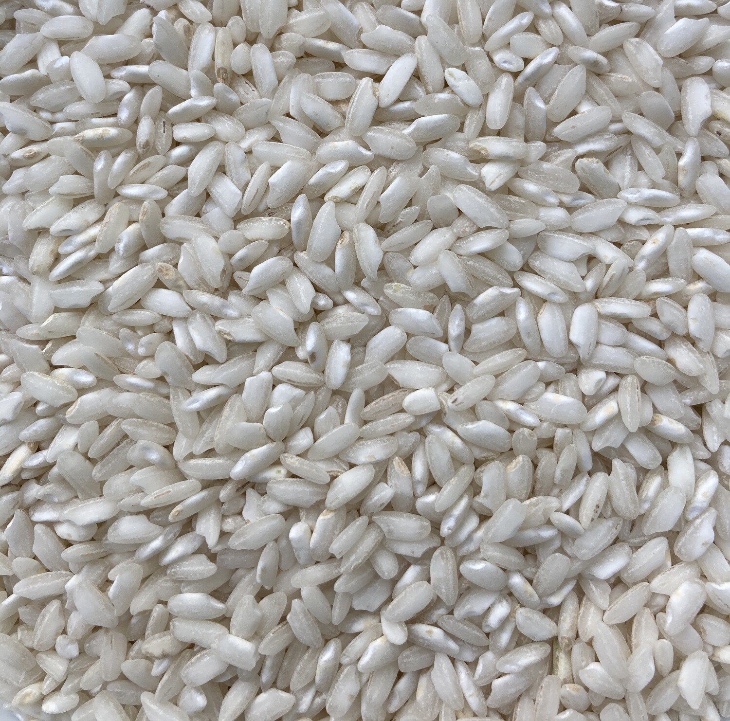 Arborio rice