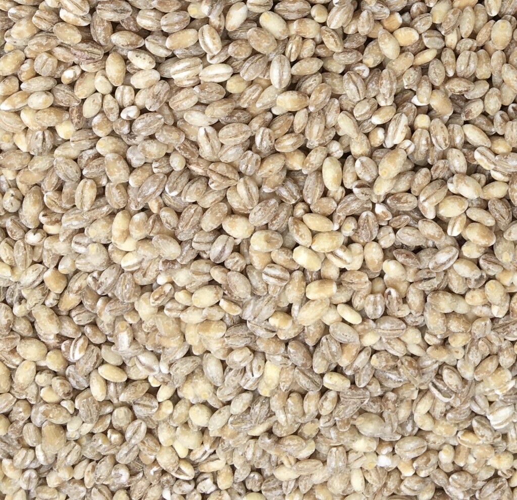 Pearl barley