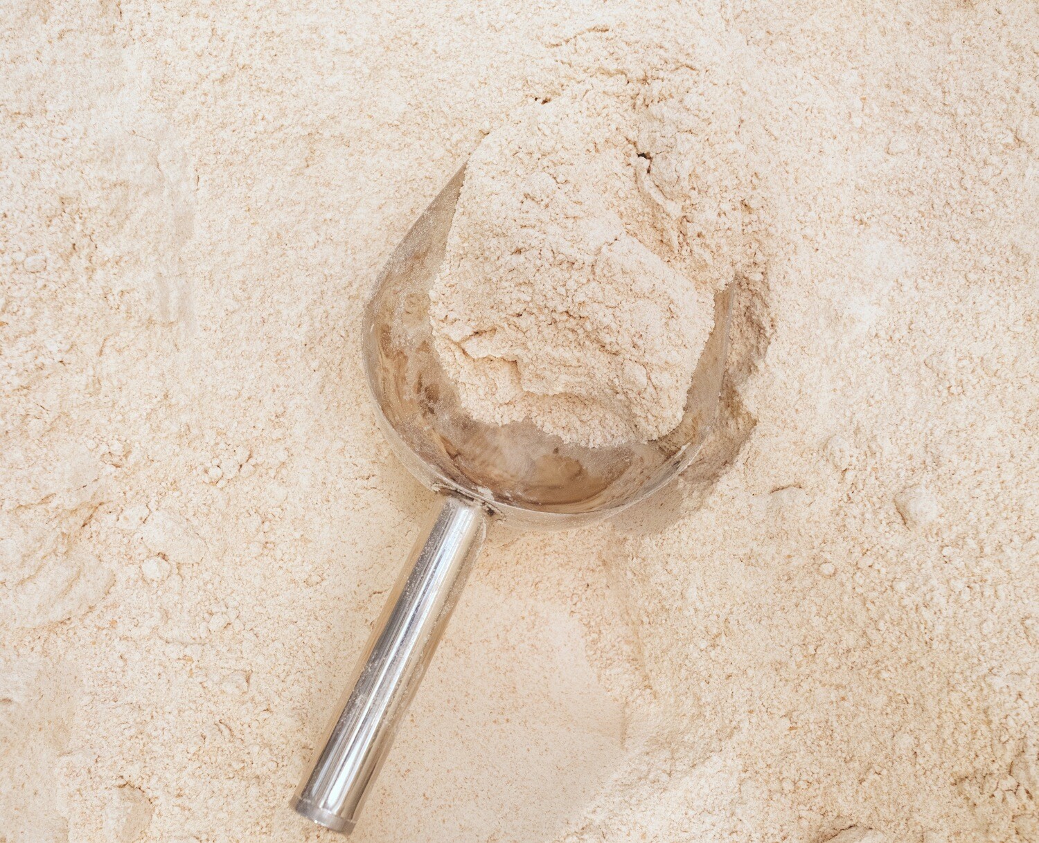 Doves organic strong wholewheat flour