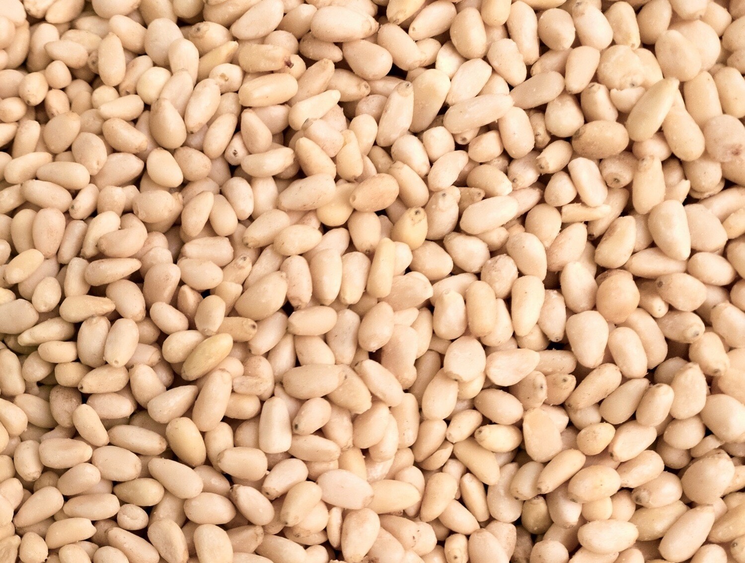 Organic pine kernels