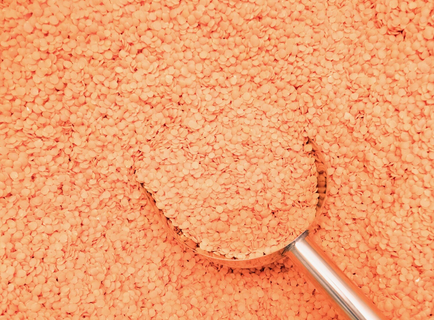 Red split lentils