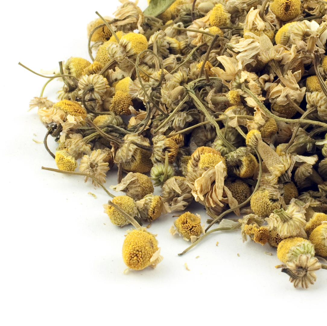 Egyptian Camomile flowers